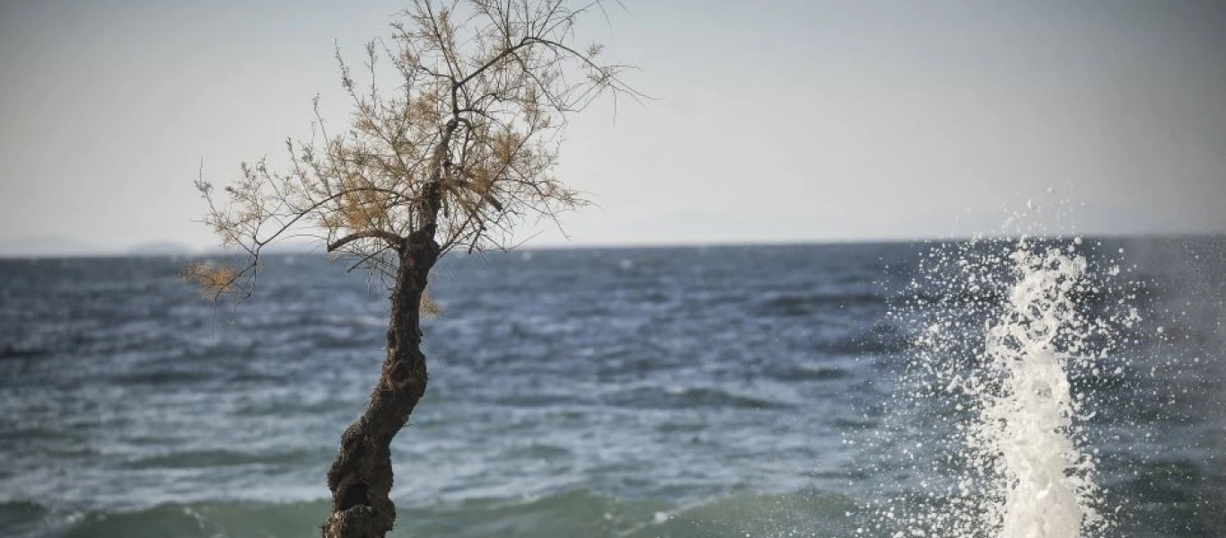 Έκτακτοι θυελλώδεις άνεμοι - 9 Μποφόρ σε Κυκλάδες και Κάβο Ντόρο